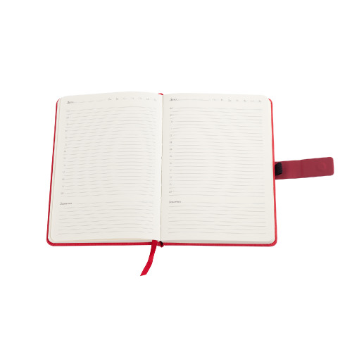 Ежедневник недатированный "Монти", формат А5, красный