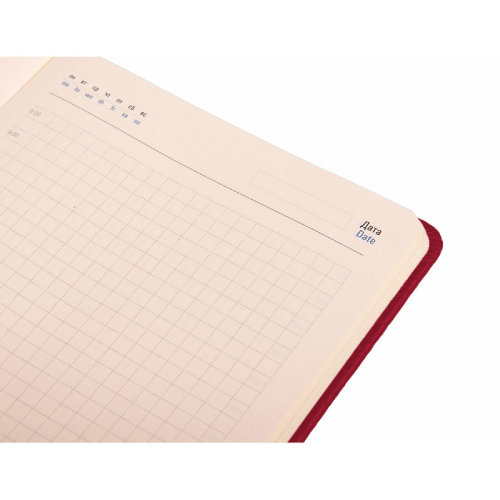 Ежедневник недатированный Starry , формат А5, в клетку (красный)