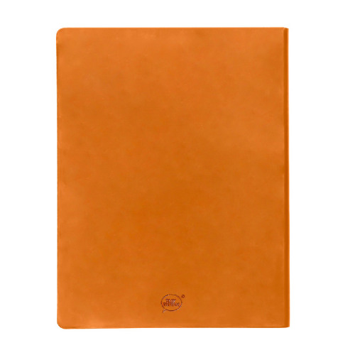 Бизнес-блокнот BIGGY, формат B5,  в клетку (оранжевый)