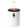[белый]