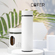 [белый]