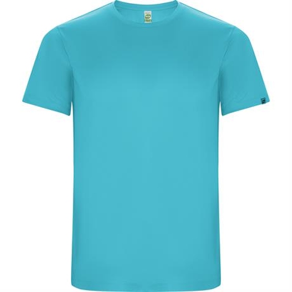 [Спортивная футболка IMOLA мужская, БИРЮЗОВЫЙ 2XL]