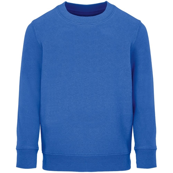 [Свитшот детский Columbia Kids, ярко-синий (royal), на рост106-116]