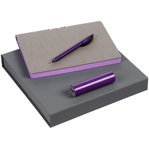 [Набор Flexpen Energy, серебристо-фиолетовый]