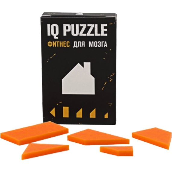 [Головоломка IQ Puzzle, домик]