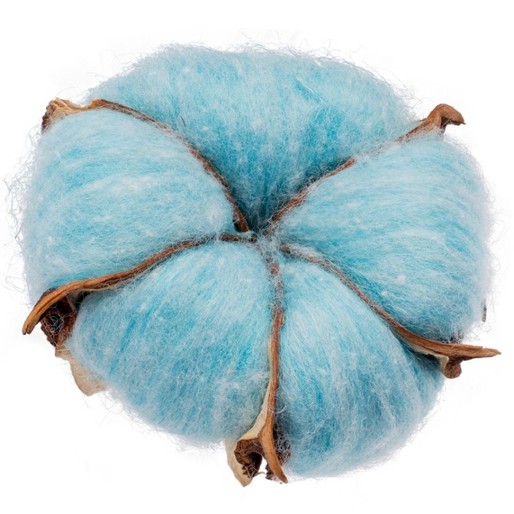 [Цветок хлопка Cotton, голубой]