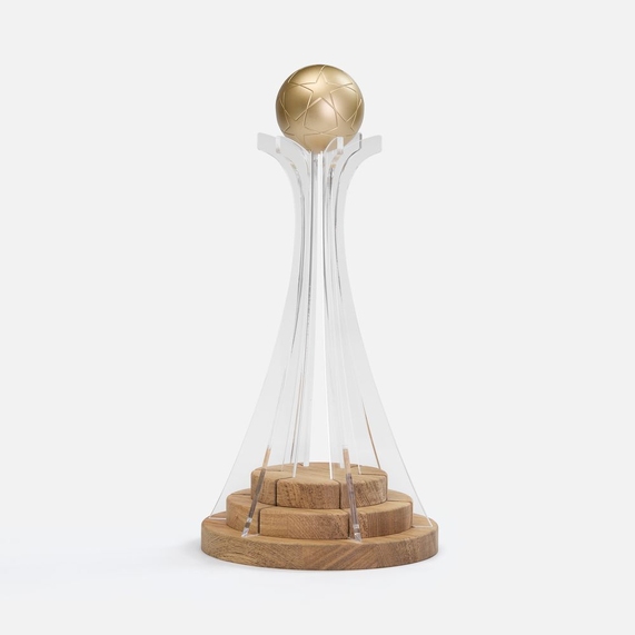 [Кубок Everball c 3D-элементами]