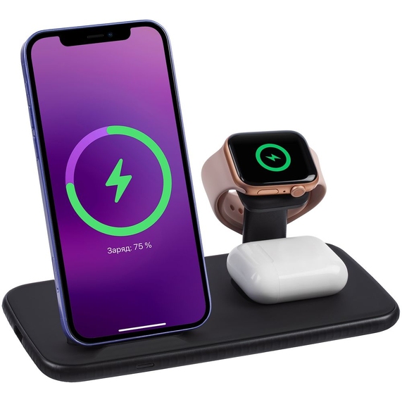 [Зарядная станция Smart Nest, черная]