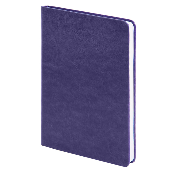 [Ежедневник недатированный Duncan, формат А5, в линейку]