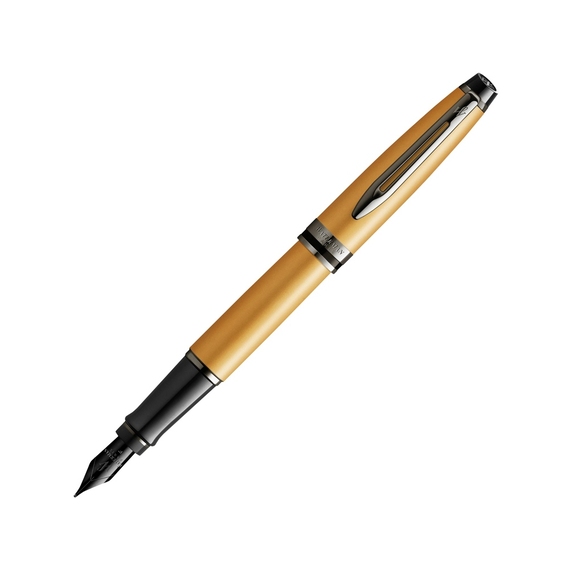 [Ручка перьевая Expert Metallic, F]