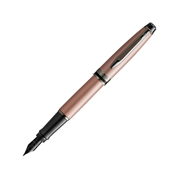 [Ручка перьевая Expert Metallic, F]