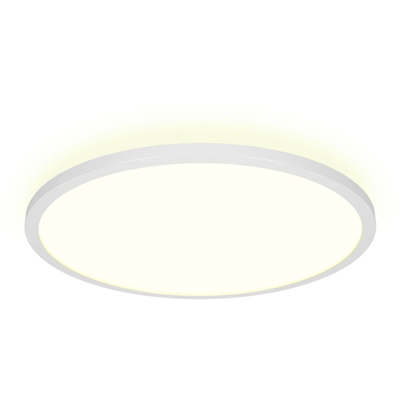 [Умная потолочная лампа «IoT Light DL442»]