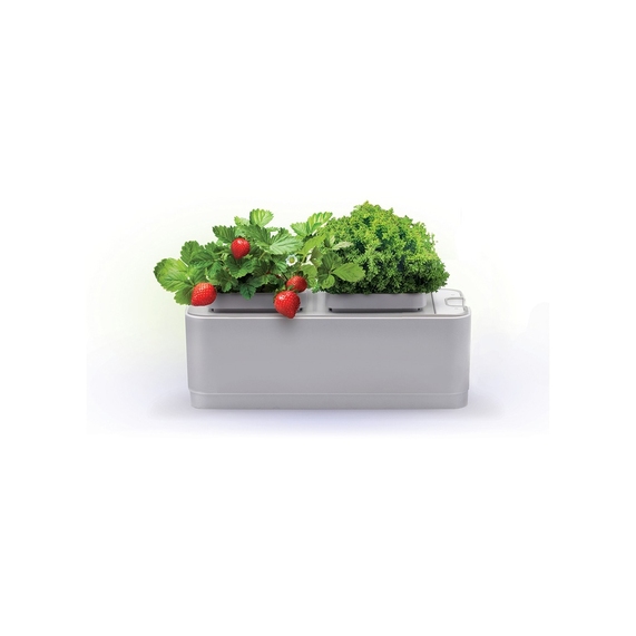 [Компактный смарт-сад «iGarden»]