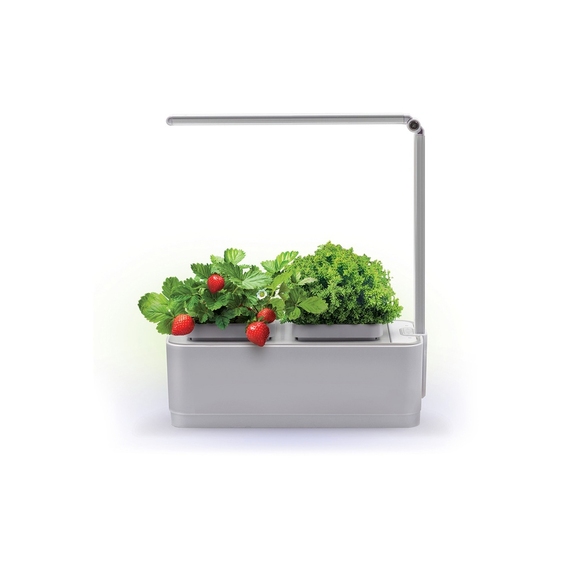 [Компактный смарт-сад «iGarden LED» с подсветкой]