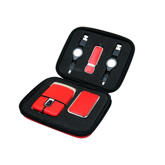 [Подарочный набор USB-SET: USB мышь, USB хаб, USB 2.0- флешка на 16 Гб]