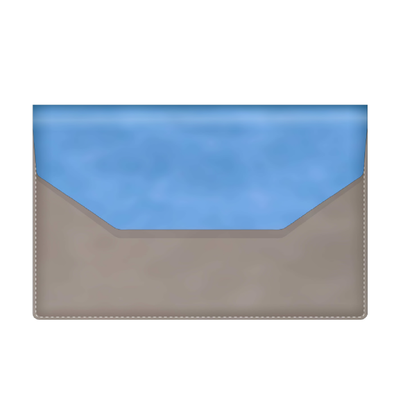 [Сумка для ноутбука Лэптоп Клатч Про (Laptop Clutch Pro)]