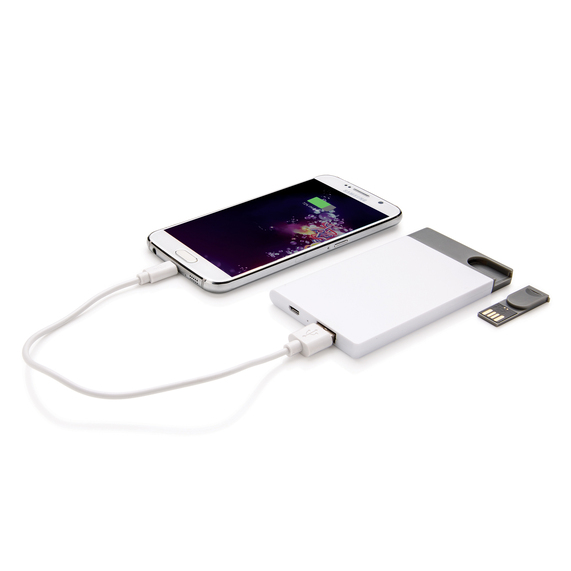 [Зарядное устройство с USB–флешкой на 8 ГБ, 2500 mAh]